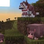 Armadillo rolls into testing | Minecraft