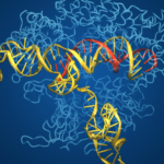 New algorithm finds a lot of gene-editing enzymes in environmental DNA