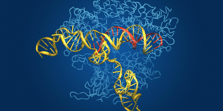 New algorithm finds a lot of gene-editing enzymes in environmental DNA